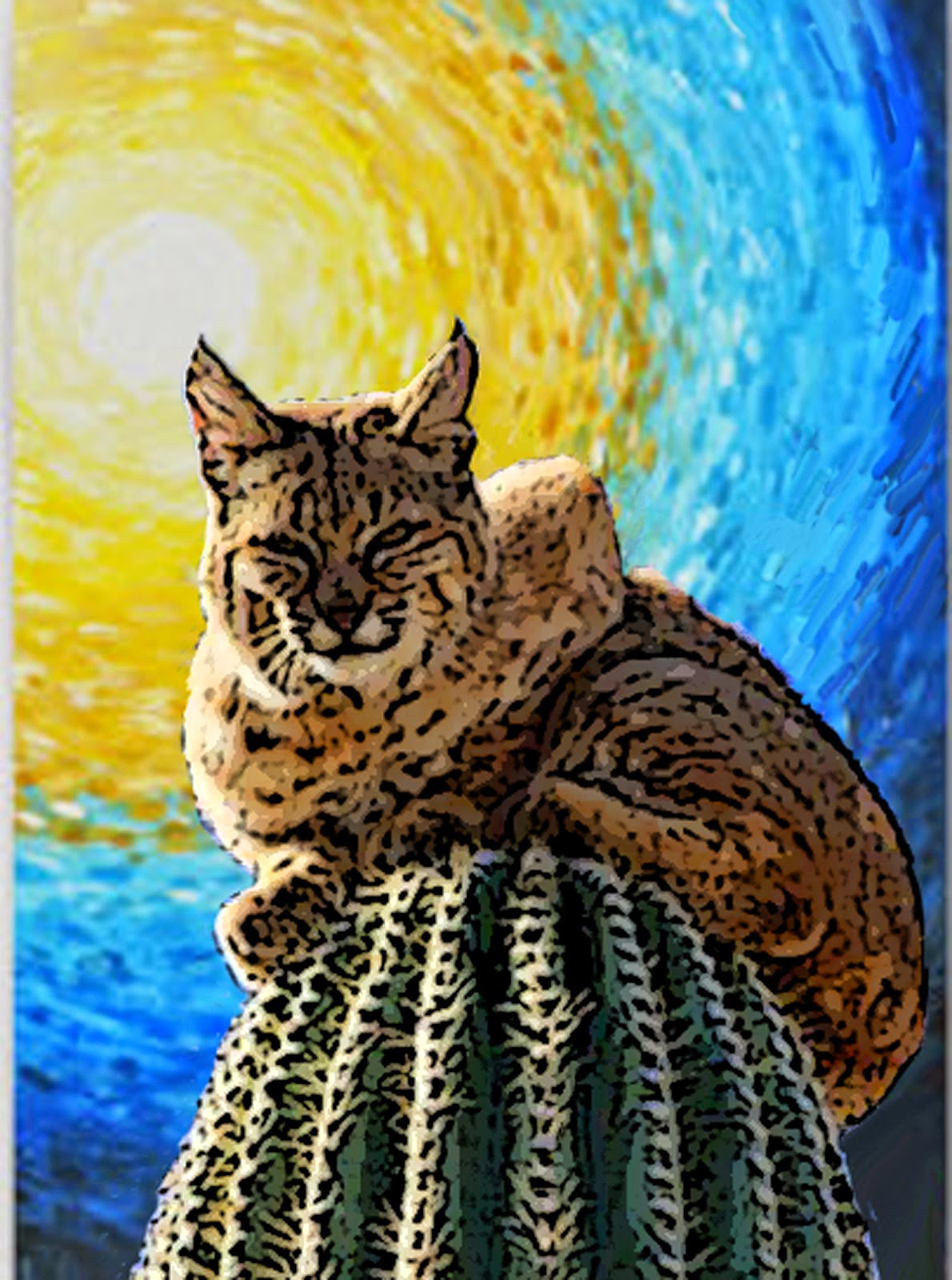 Scribbles In the Sand........... My Desert Diary Back to Tucson